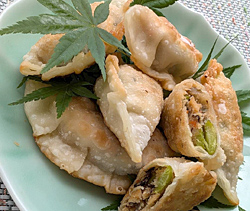 おからの揚げ焼き餃子